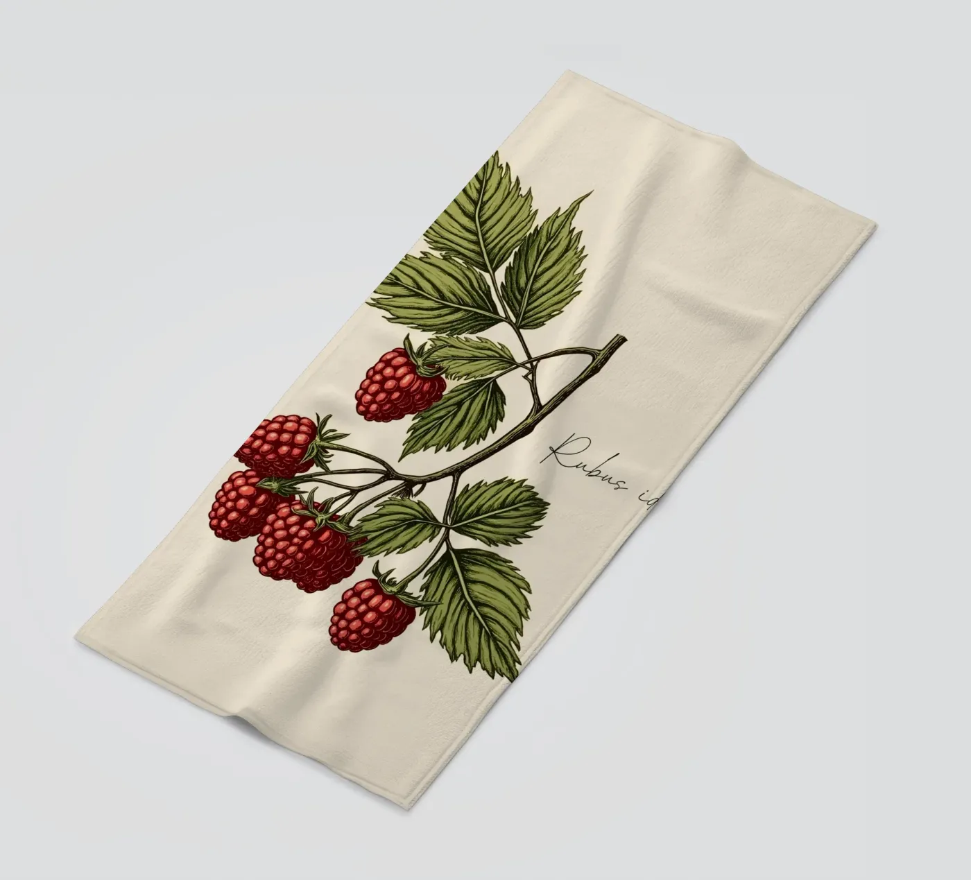 Rubus idaeus telo mare da Indigo Rain