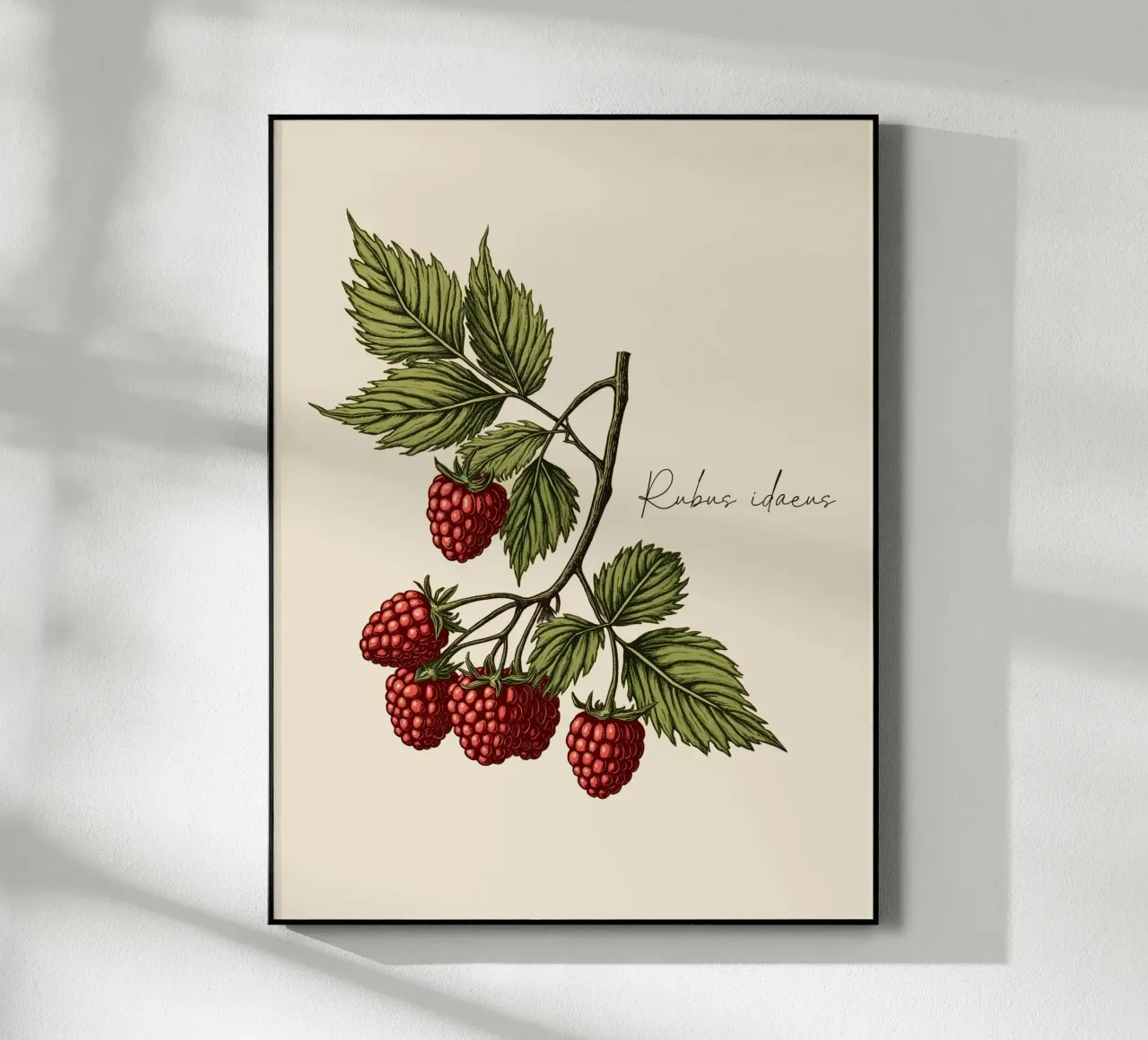 Rubus idaeus plexiglass da Indigo Rain