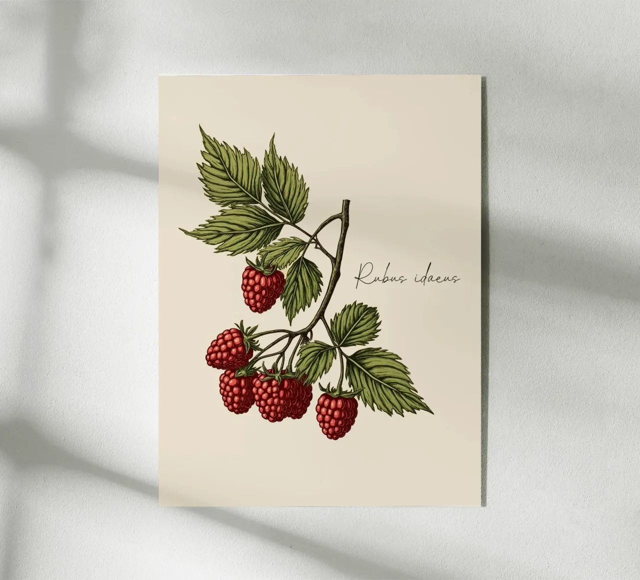 Rubus idaeus plexiglass da Indigo Rain