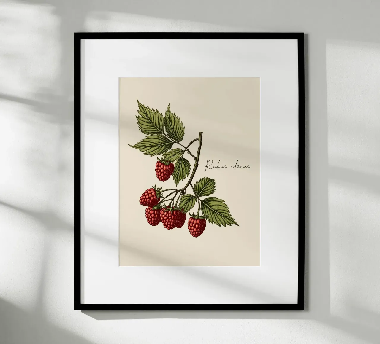 Rubus idaeus poster da Indigo Rain