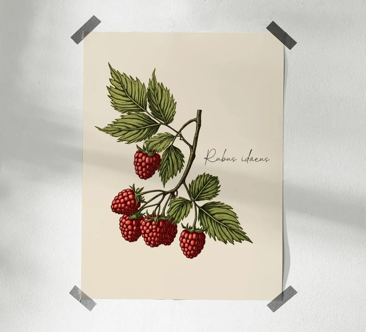 Rubus idaeus poster da Indigo Rain