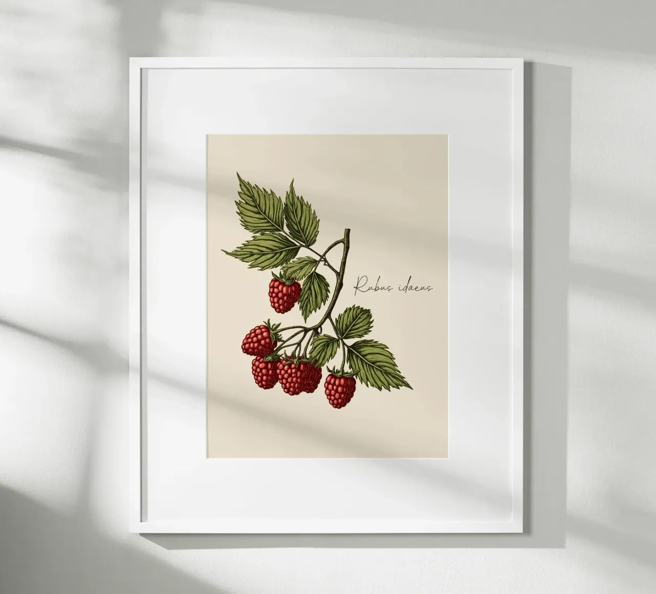 Rubus idaeus poster da Indigo Rain