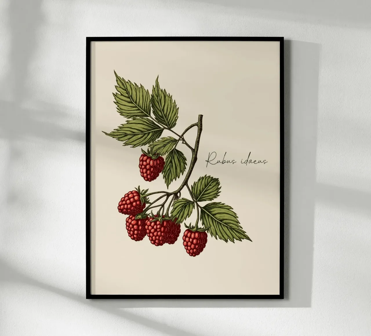 Rubus idaeus poster da Indigo Rain