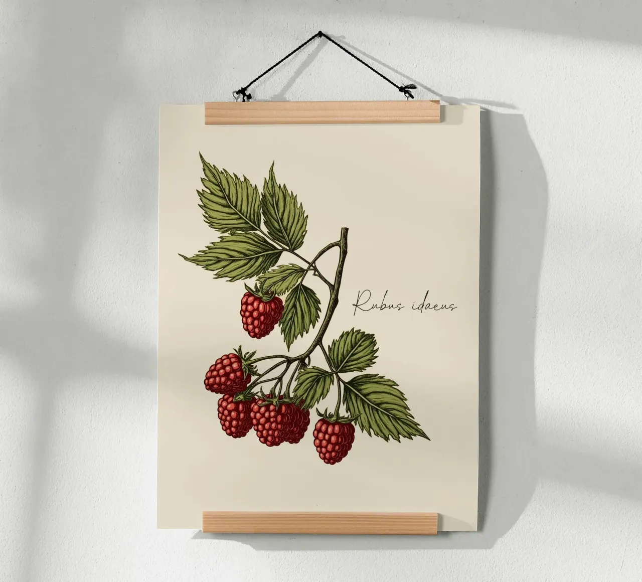 Rubus idaeus poster da Indigo Rain