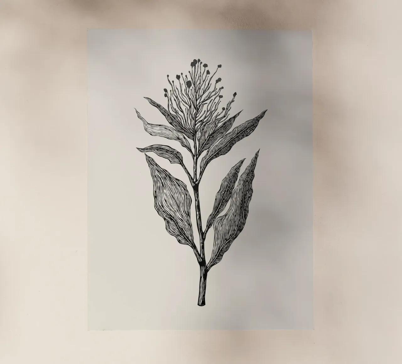 Botanical Poster pellicola backlit da Indigo Rain