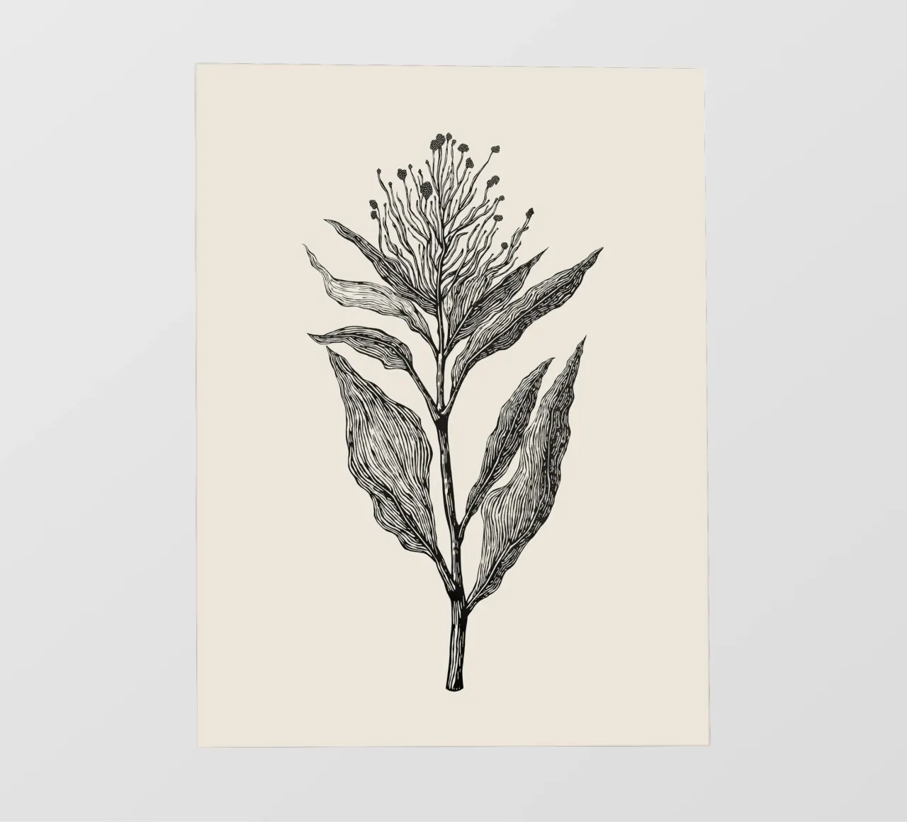 Botanical Poster pellicola backlit da Indigo Rain