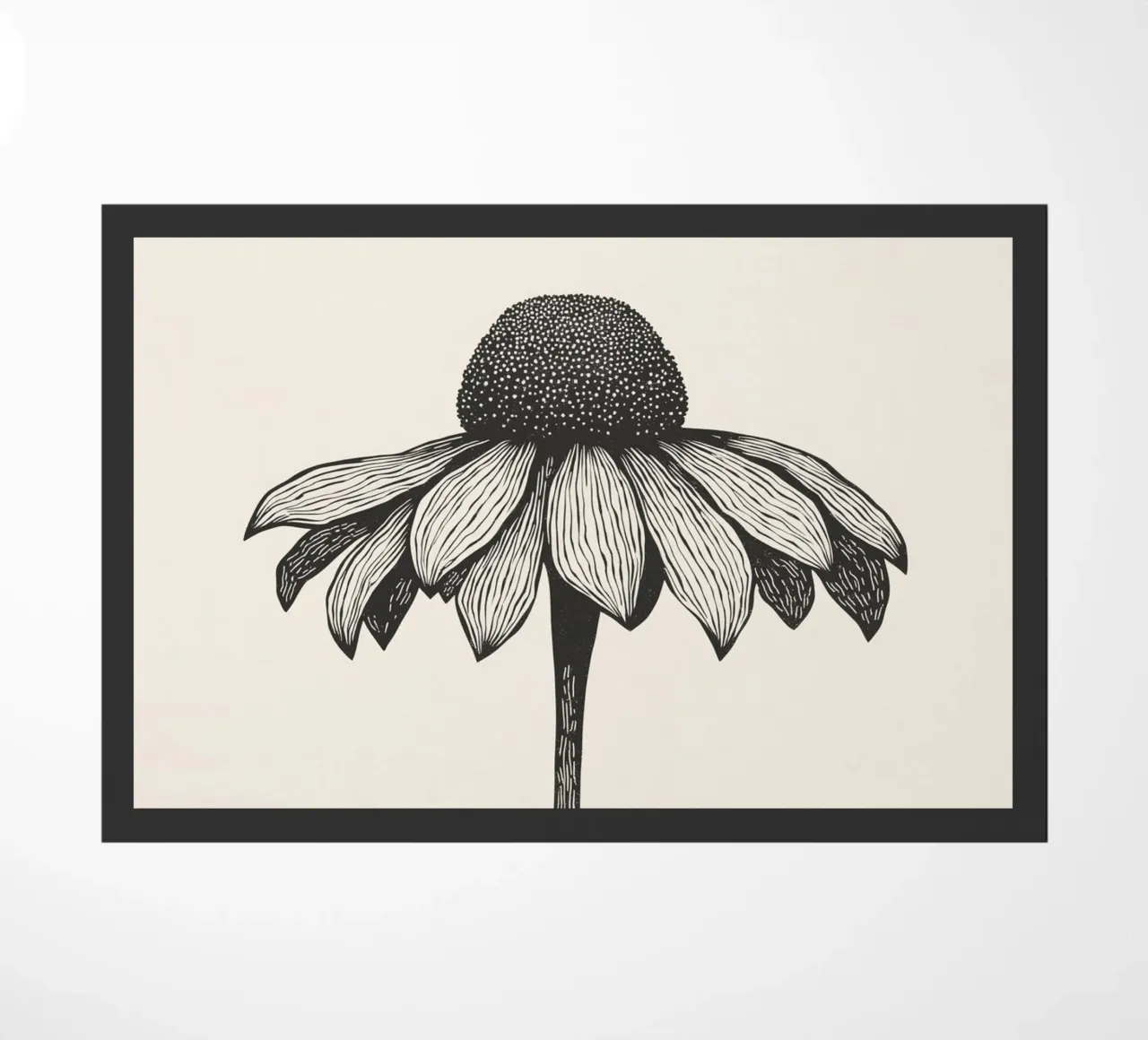 Echinocea zerbino da Indigo Rain