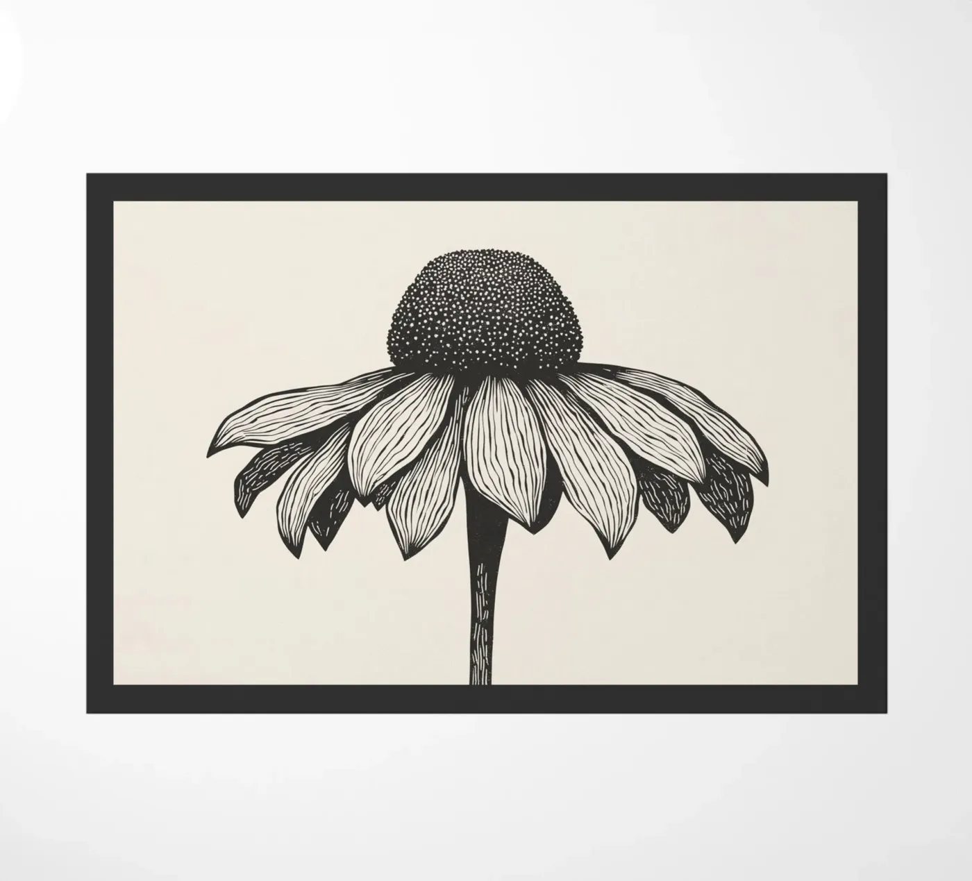 Echinocea paillasson de Indigo Rain