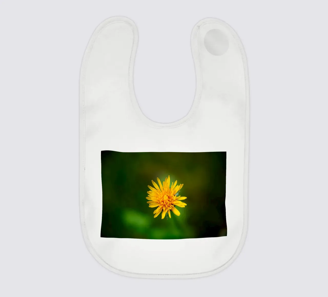 Dente di leone bavaglino da Marcus Beckert | Fotografie