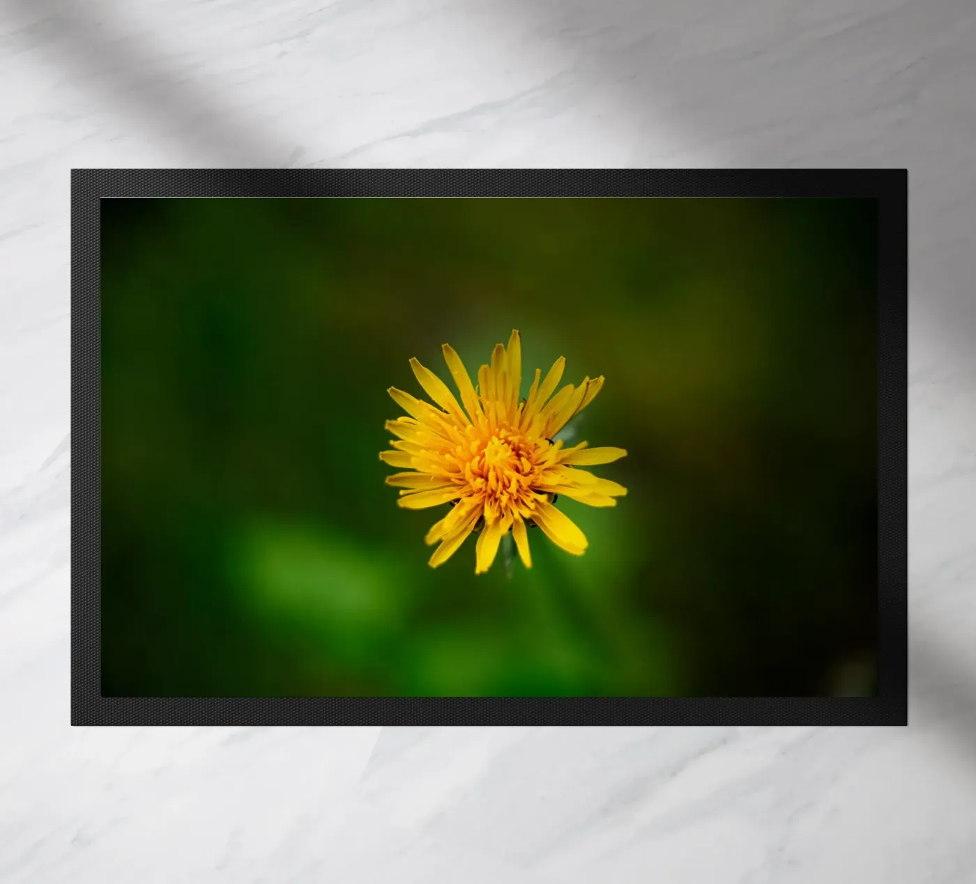 Löwenzahn Fußmatte von Marcus Beckert | Fotografie