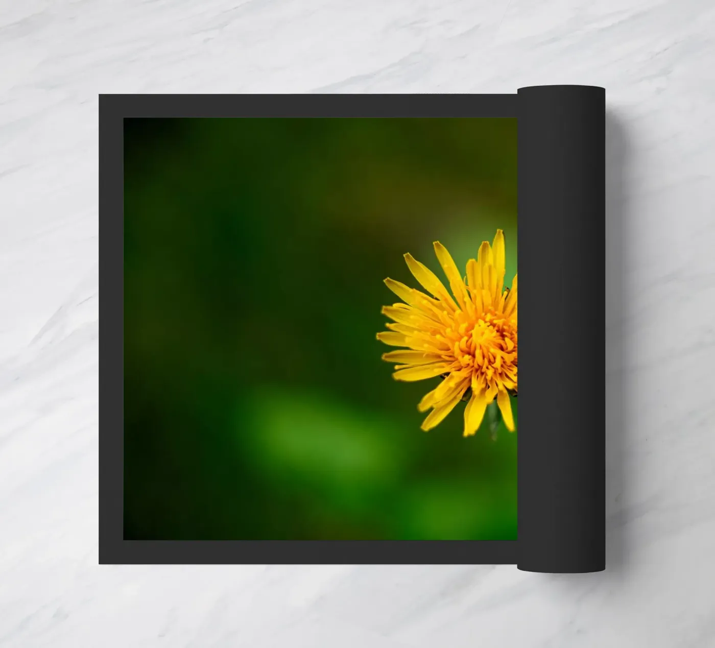 Löwenzahn Fußmatte von Marcus Beckert | Fotografie