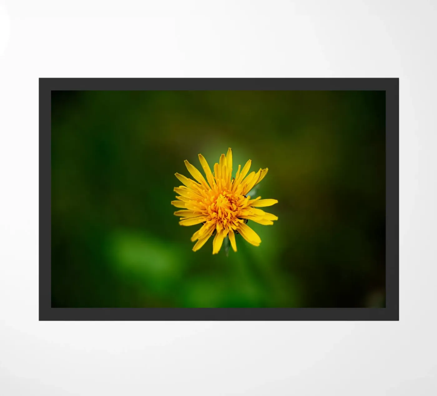 Löwenzahn Fußmatte von Marcus Beckert | Fotografie