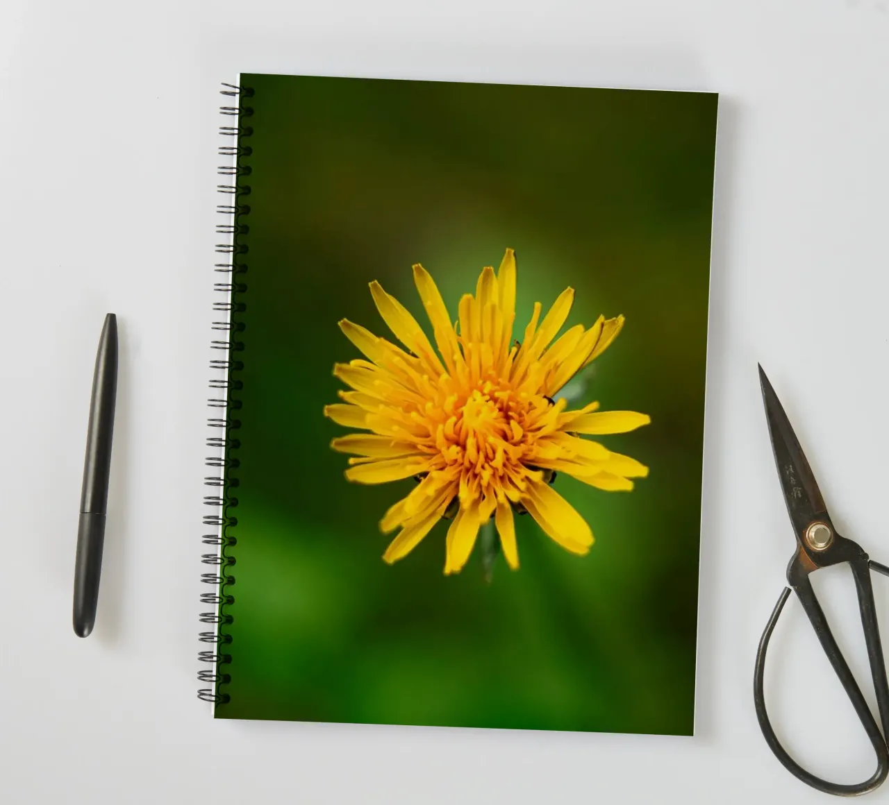 Dandelion spiral notebook by Marcus Beckert | Fotografie