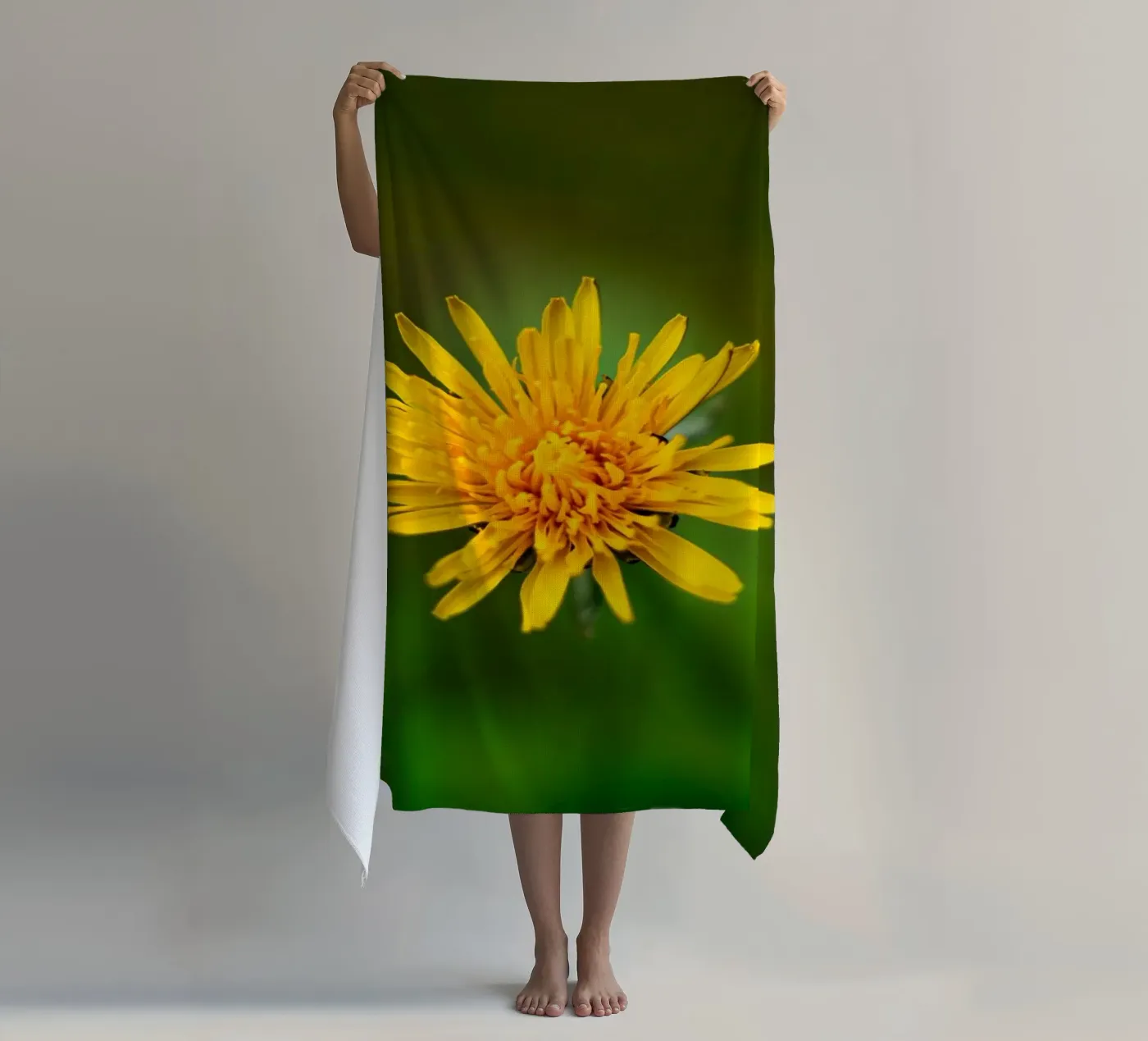 Dandelion beach towel by Marcus Beckert | Fotografie
