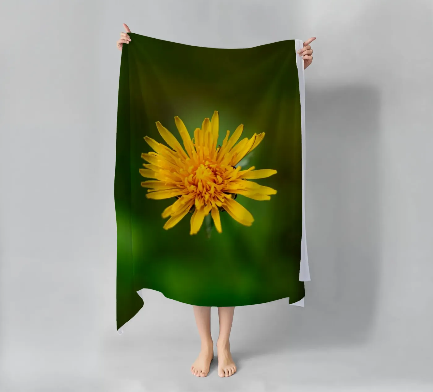 Dandelion beach towel by Marcus Beckert | Fotografie
