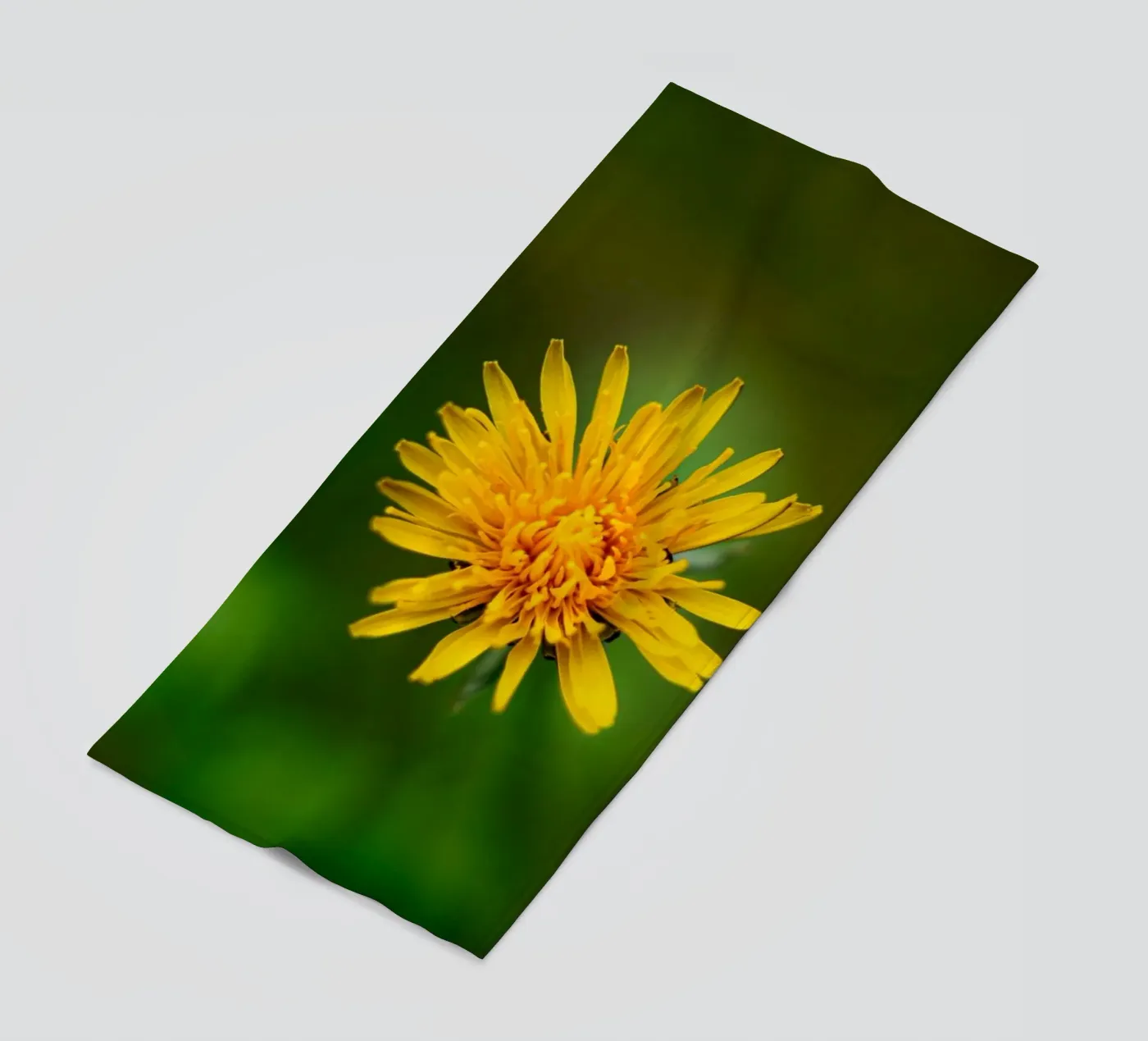 Dandelion beach towel by Marcus Beckert | Fotografie
