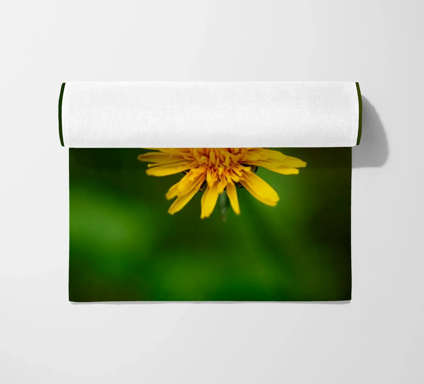 Dandelion beach towel by Marcus Beckert | Fotografie