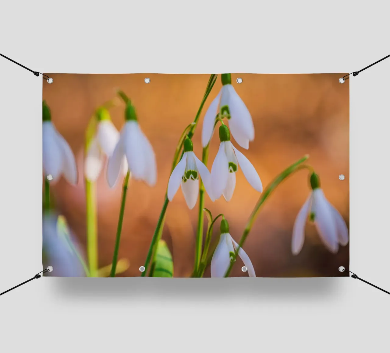 Snowdrops pvc cover by Marcus Beckert | Fotografie