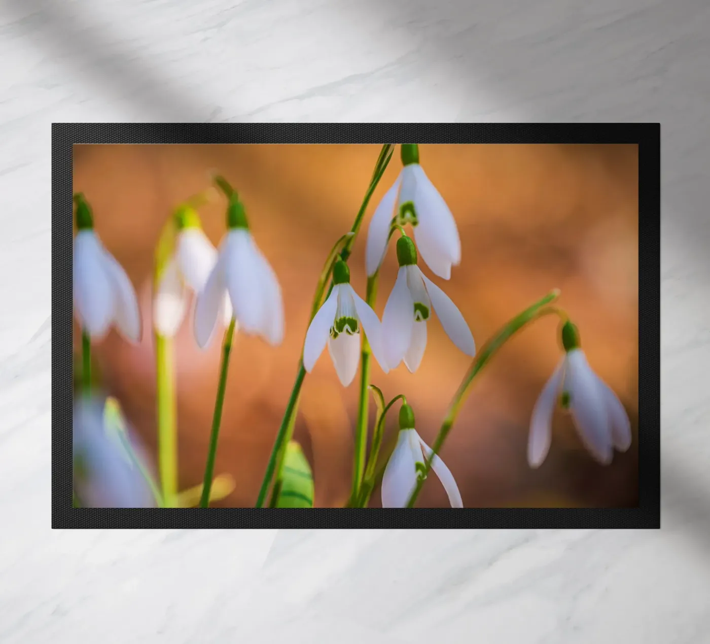 Snowdrops zerbino da Marcus Beckert | Fotografie