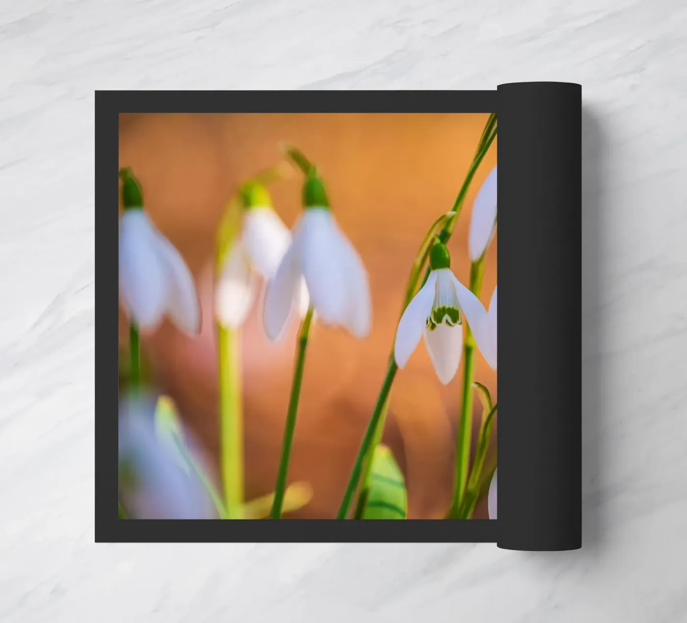 Snowdrops zerbino da Marcus Beckert | Fotografie