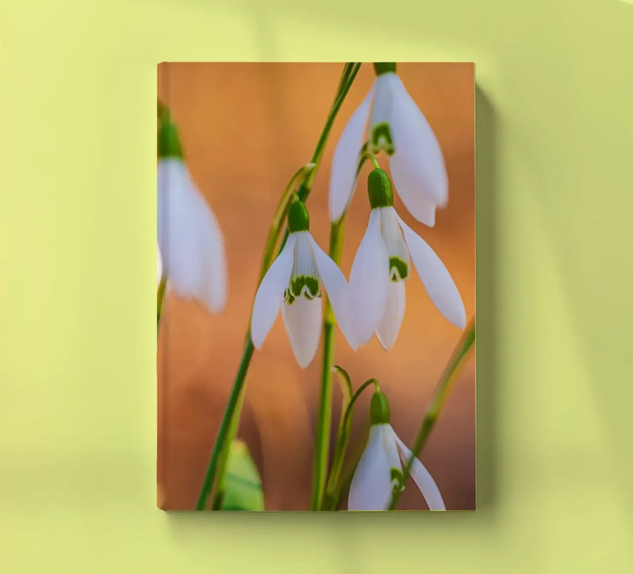 Snowdrops notebook by Marcus Beckert | Fotografie