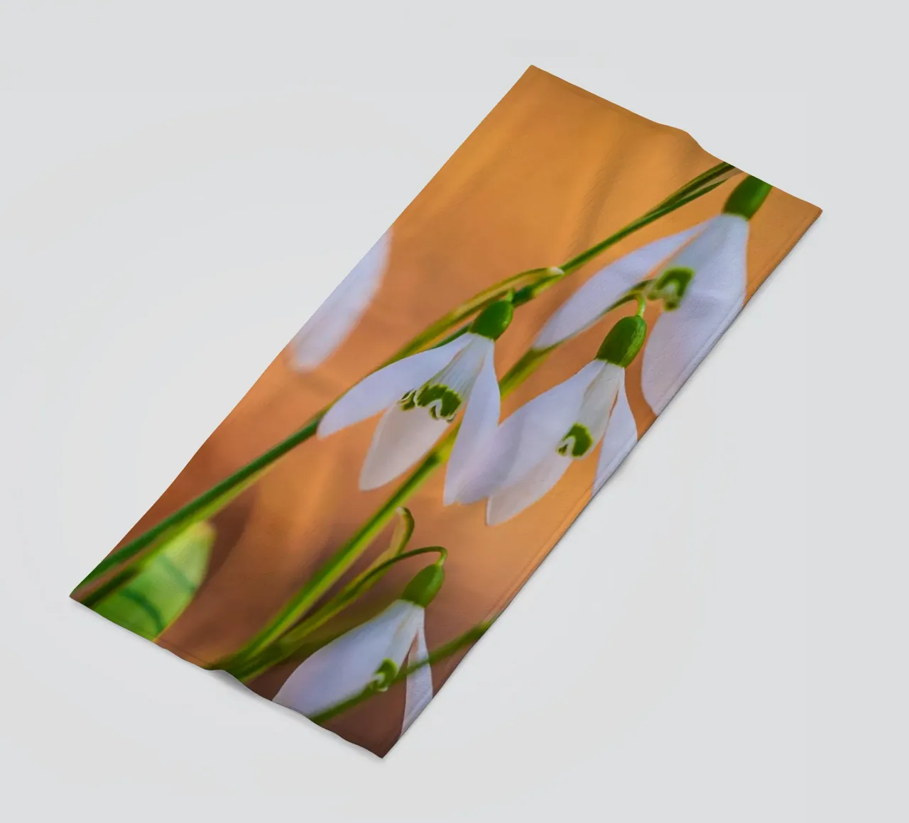 Bucaneve telo mare da Marcus Beckert | Fotografie