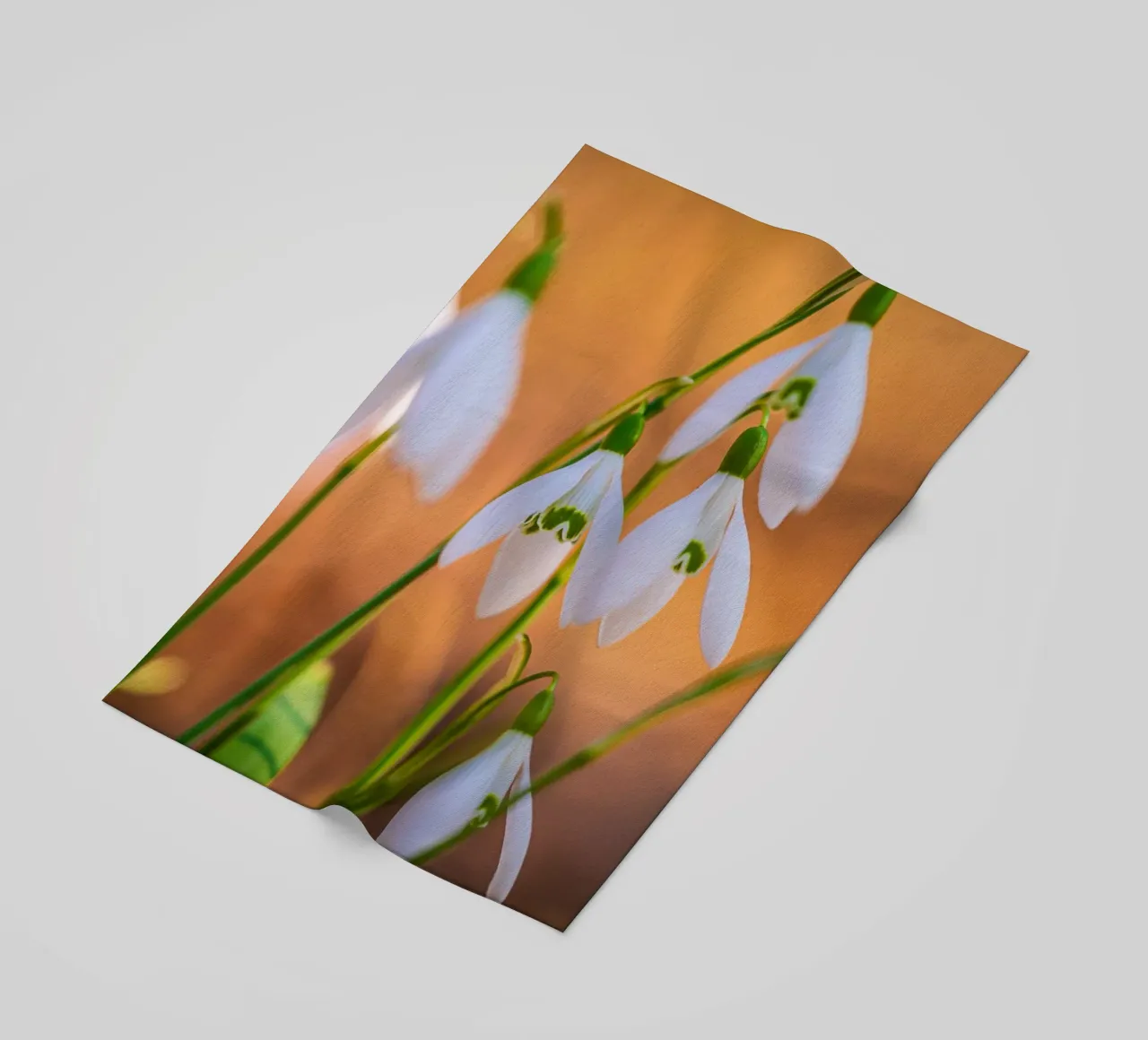 Bucaneve telo mare da Marcus Beckert | Fotografie