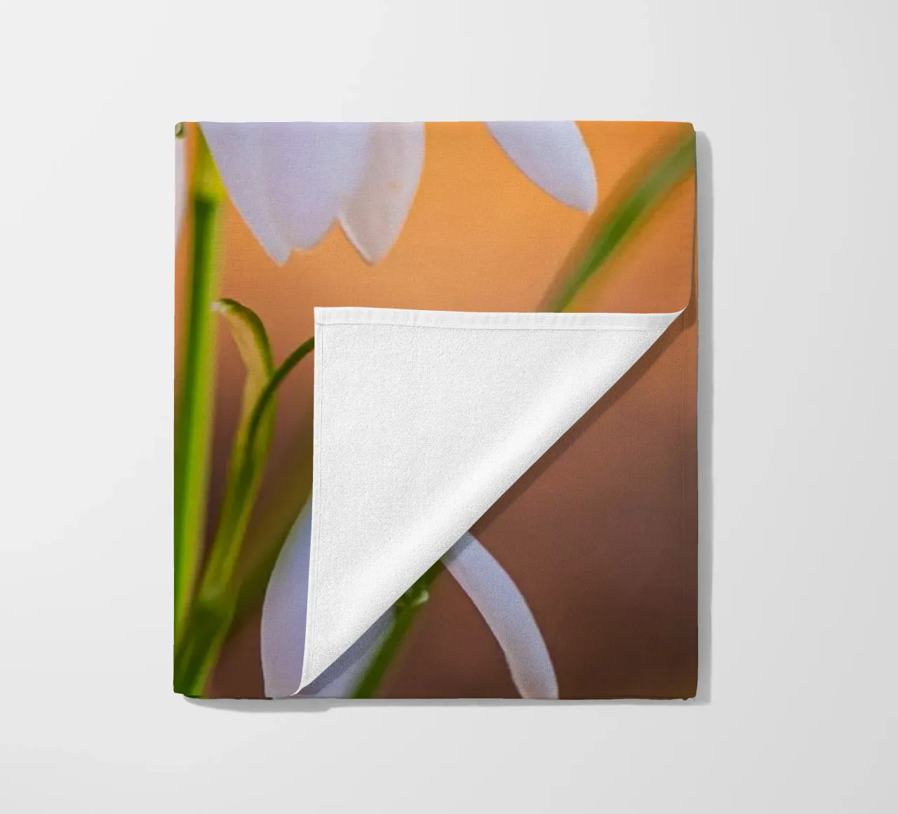 Bucaneve telo mare da Marcus Beckert | Fotografie