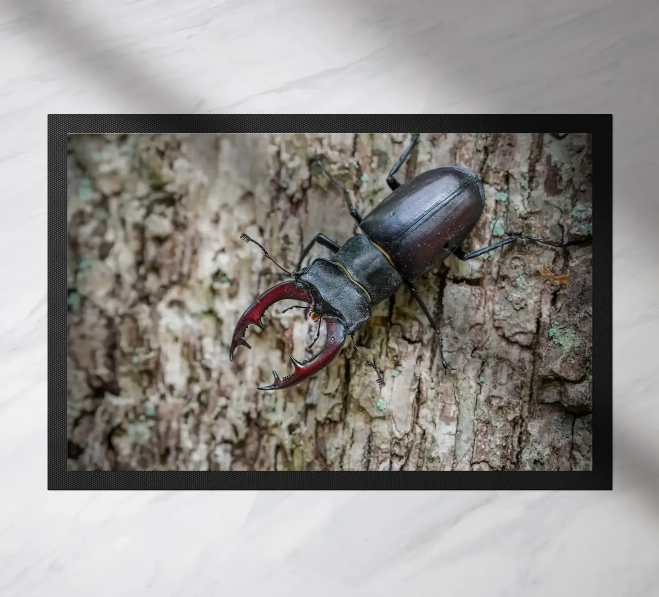Stag Beetle Fußmatte von Tom's Wildlife