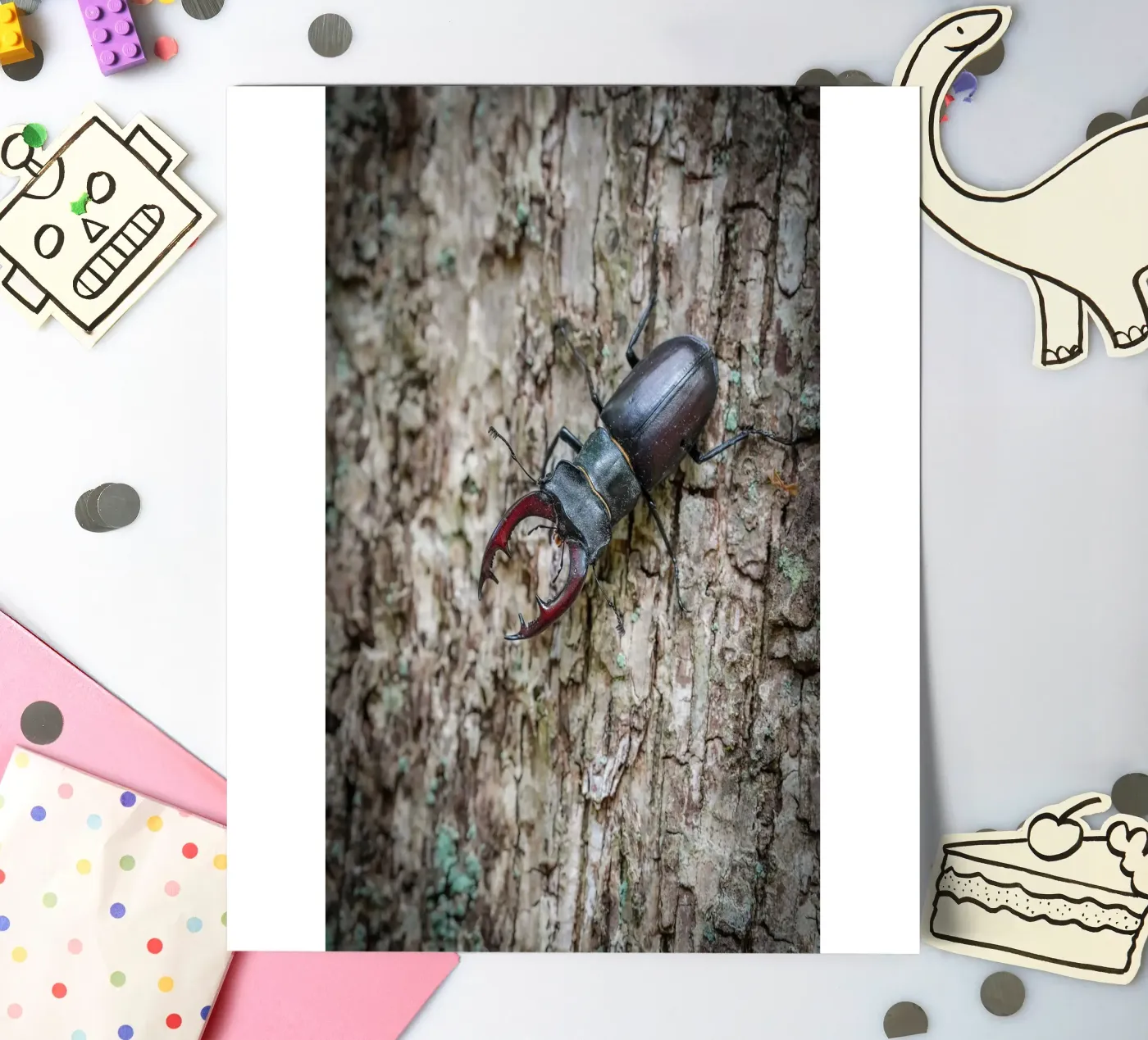 Stag Beetle Stickerbogen von Tom's Wildlife