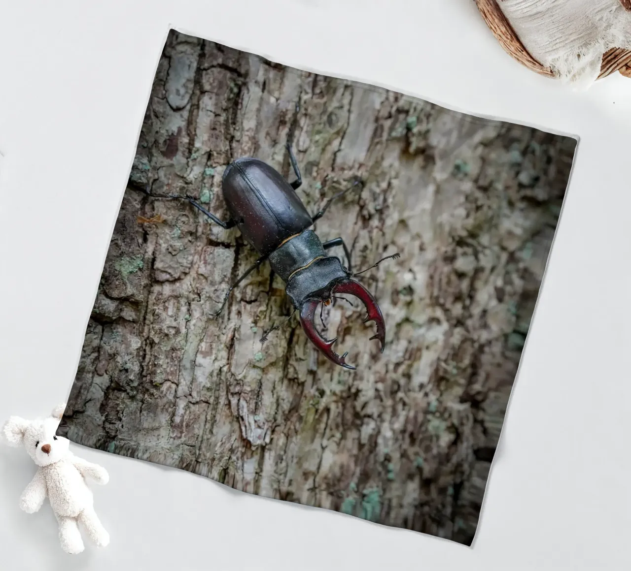 Hirschkäfer Fleecedecke von Tom's Wildlife