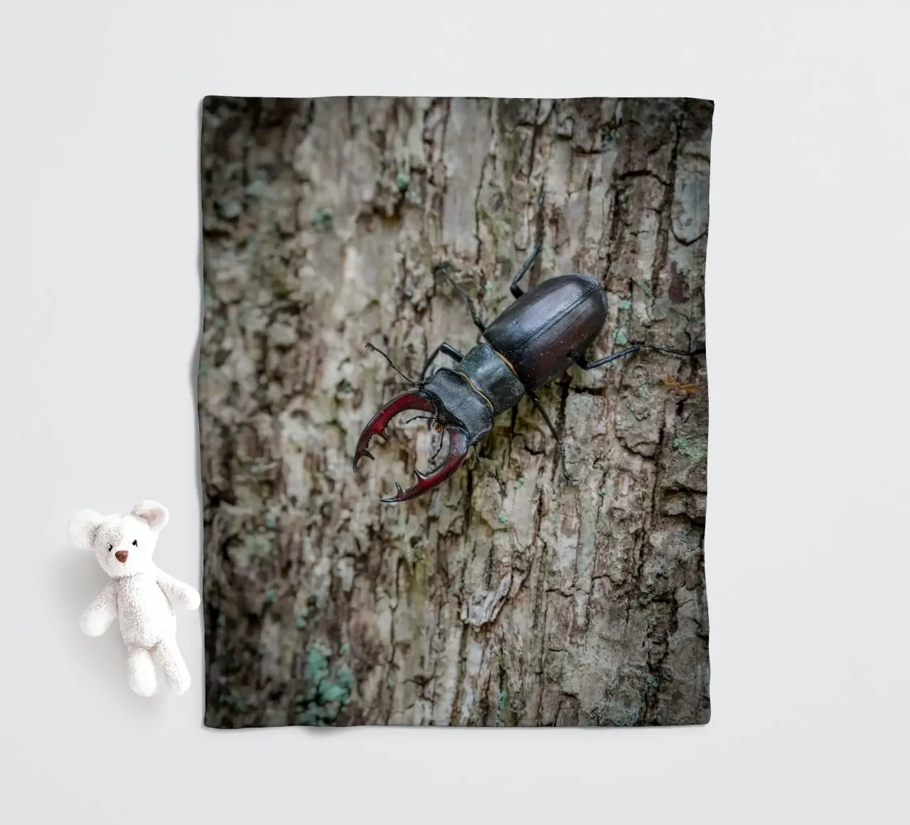 Hirschkäfer Fleecedecke von Tom's Wildlife