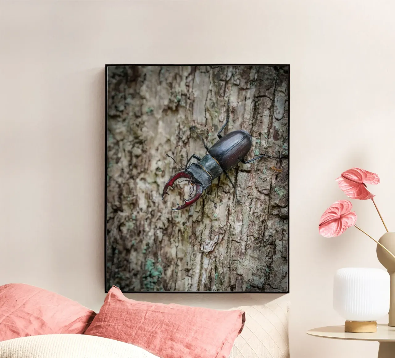 Stag Beetle plexiglass da Tom's Wildlife