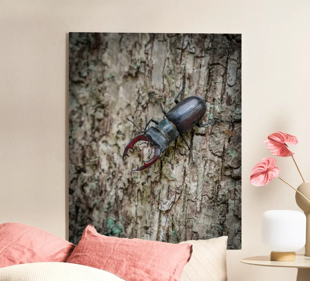 Stag Beetle acrylic glass by Tom's Wildlife