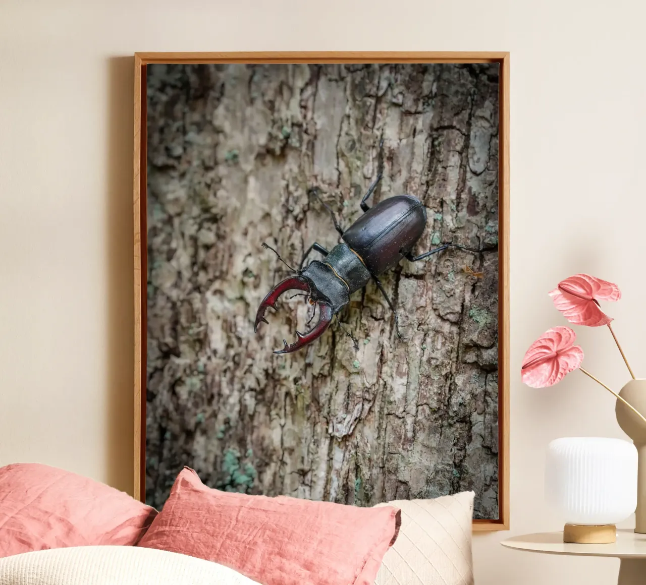Hirschkäfer Leinwand mit Schattenfugenrahmen von Tom's Wildlife