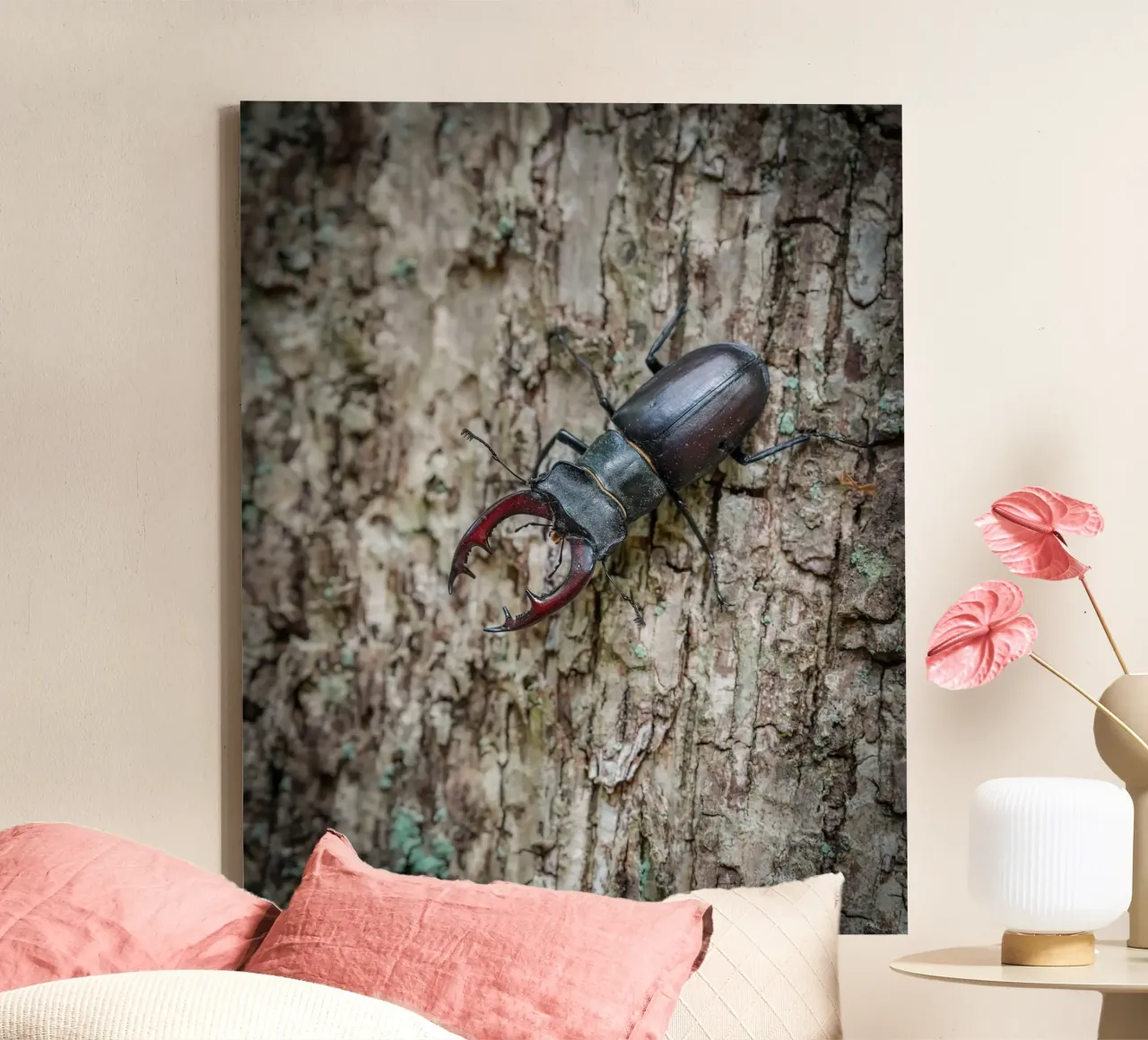 Hirschkäfer Leinwand mit Schattenfugenrahmen von Tom's Wildlife