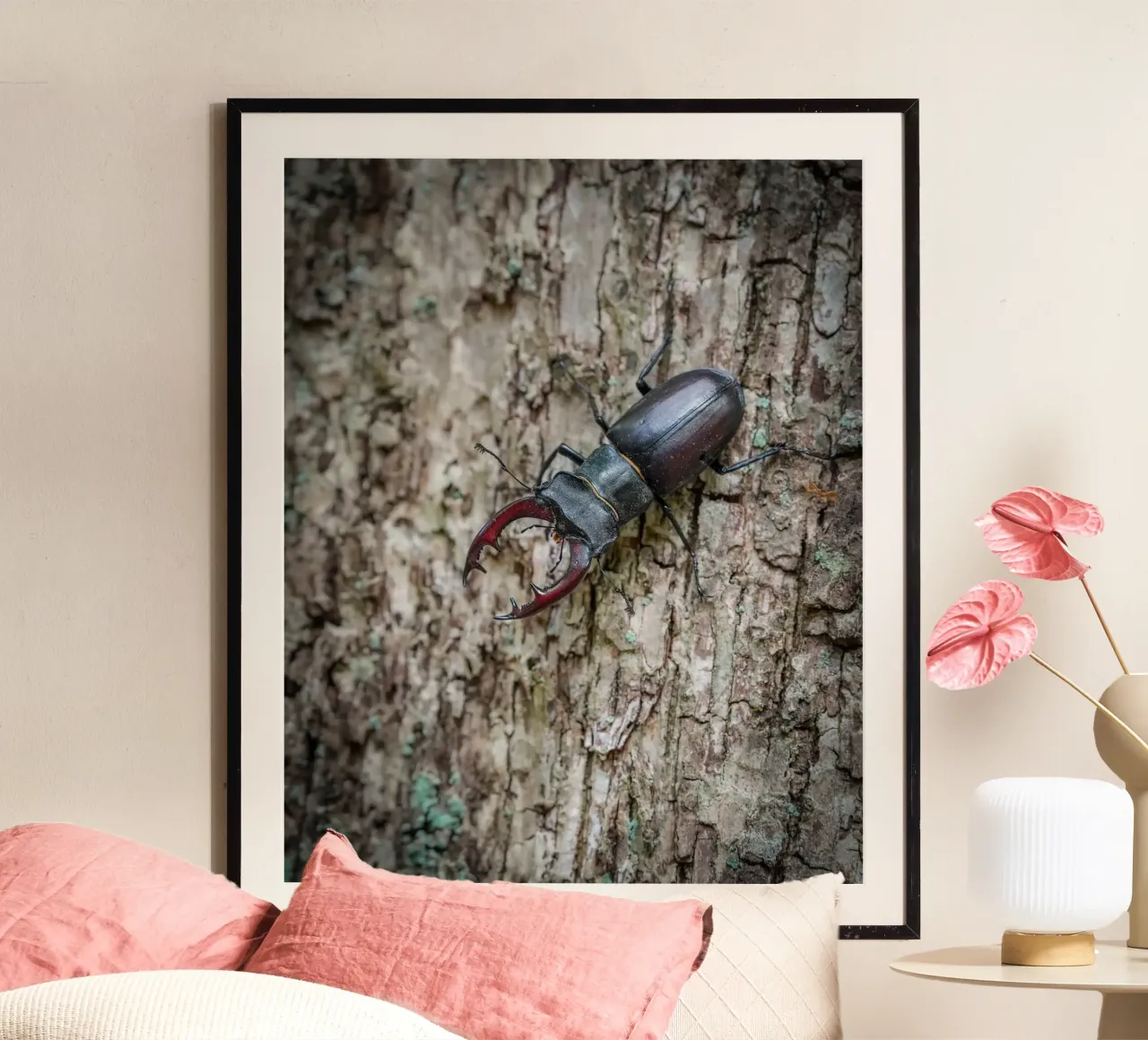 Scarafaggio cervo poster con telaio in alluminio da Tom's Wildlife