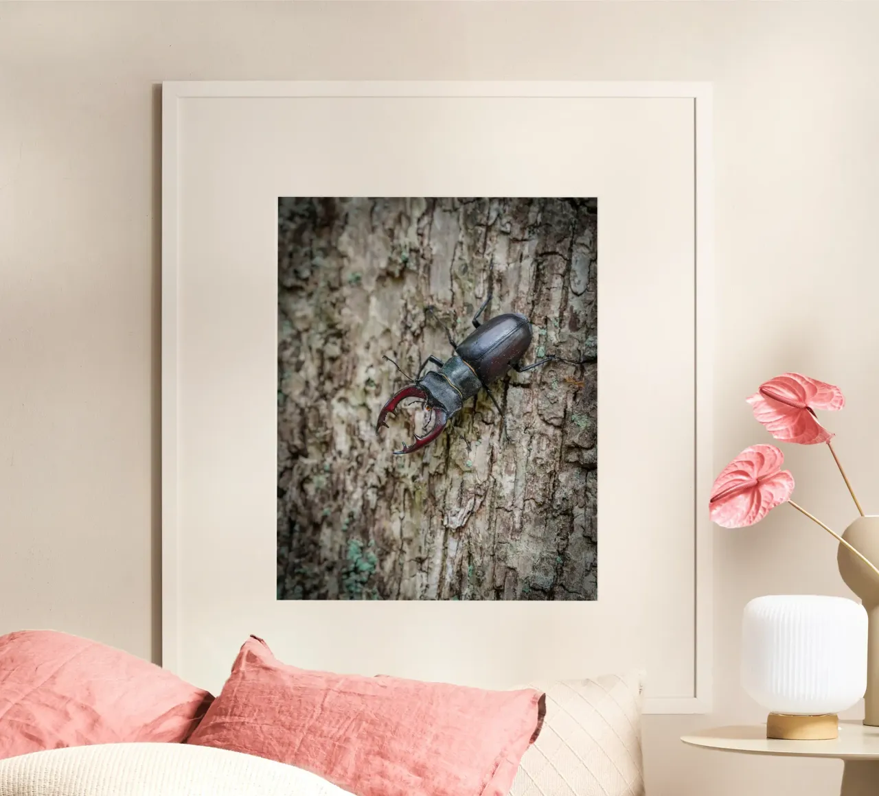 Scarafaggio cervo poster con telaio in alluminio da Tom's Wildlife