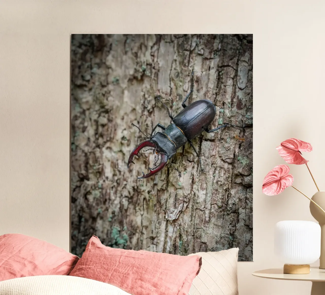 Scarafaggio cervo poster con telaio in alluminio da Tom's Wildlife