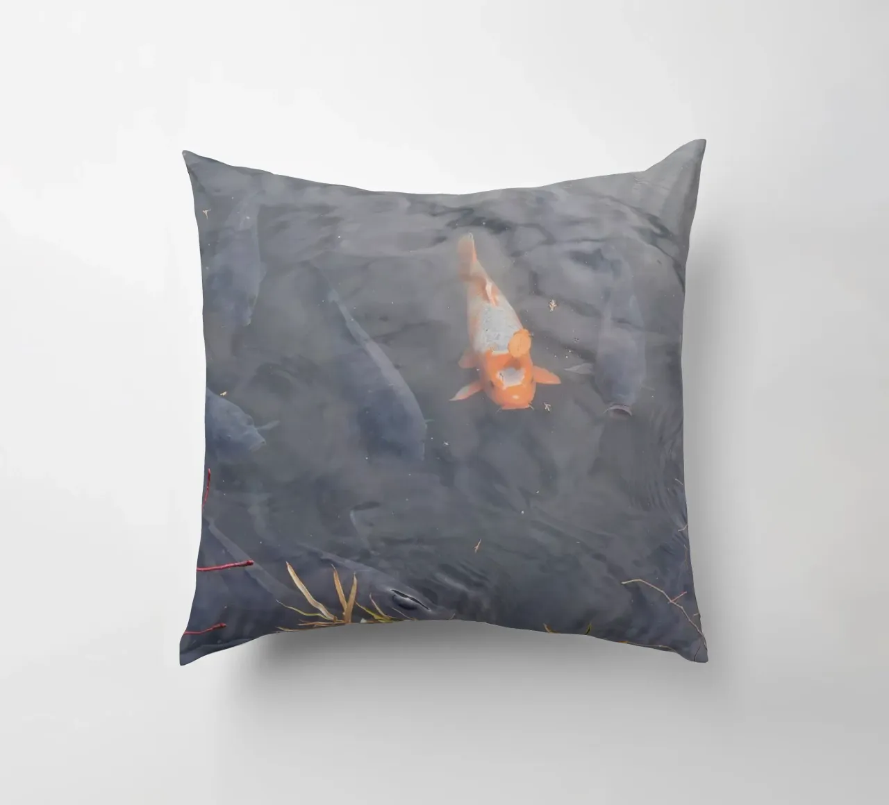 Carpa Koi cuscino da dava