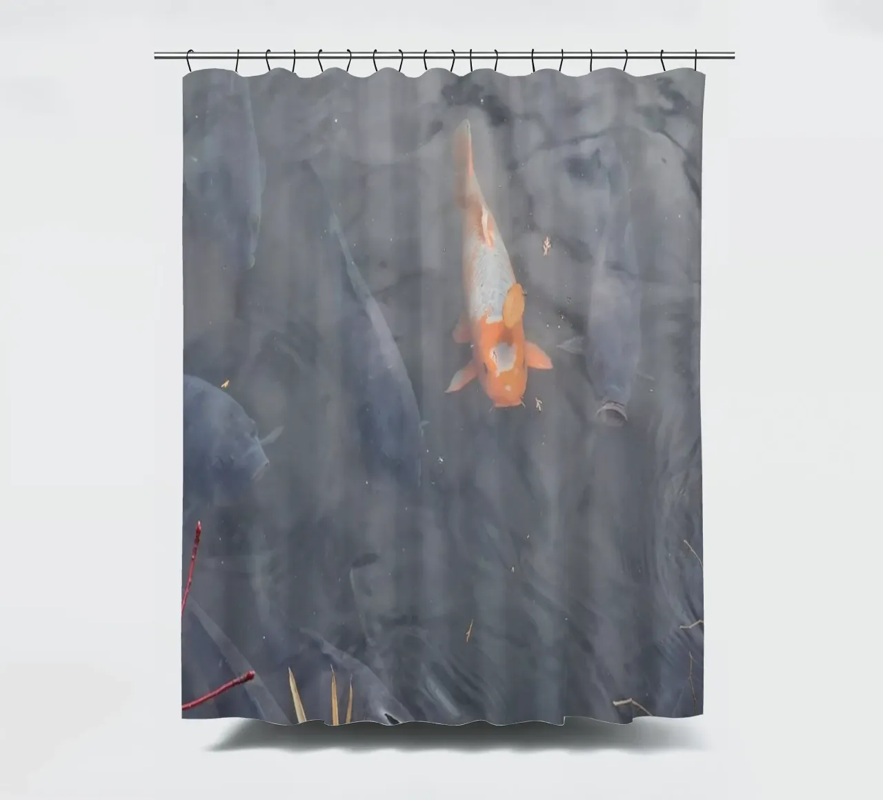 Carpa Koi tenda da doccia da dava