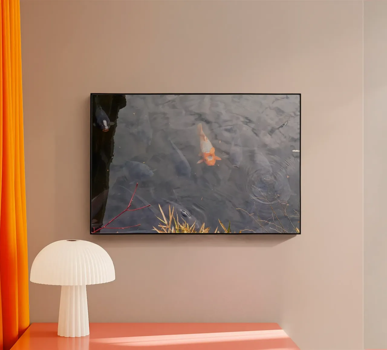 Carpa Koi plexiglass da dava