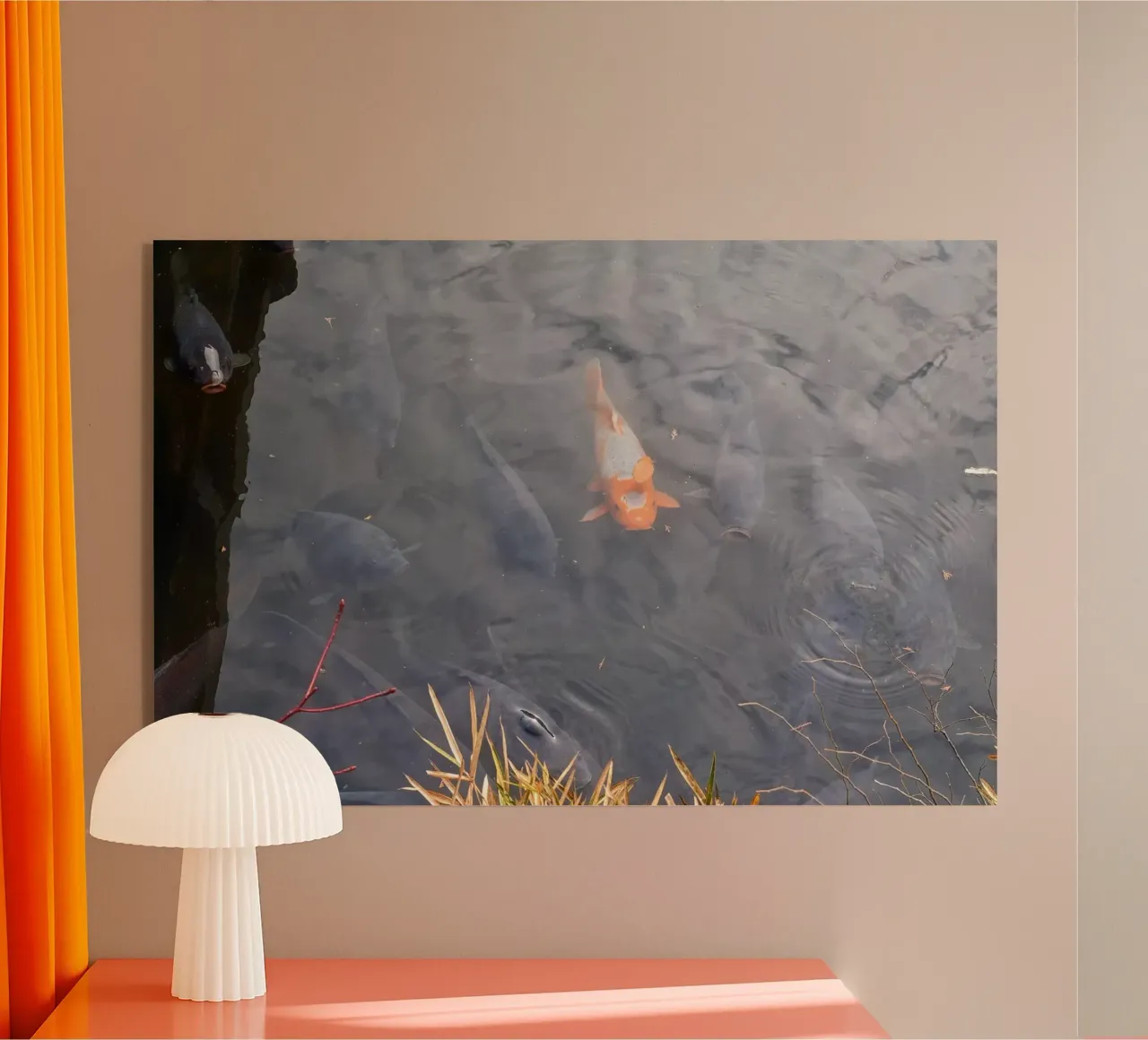 Koi carp acrylic glass by dava