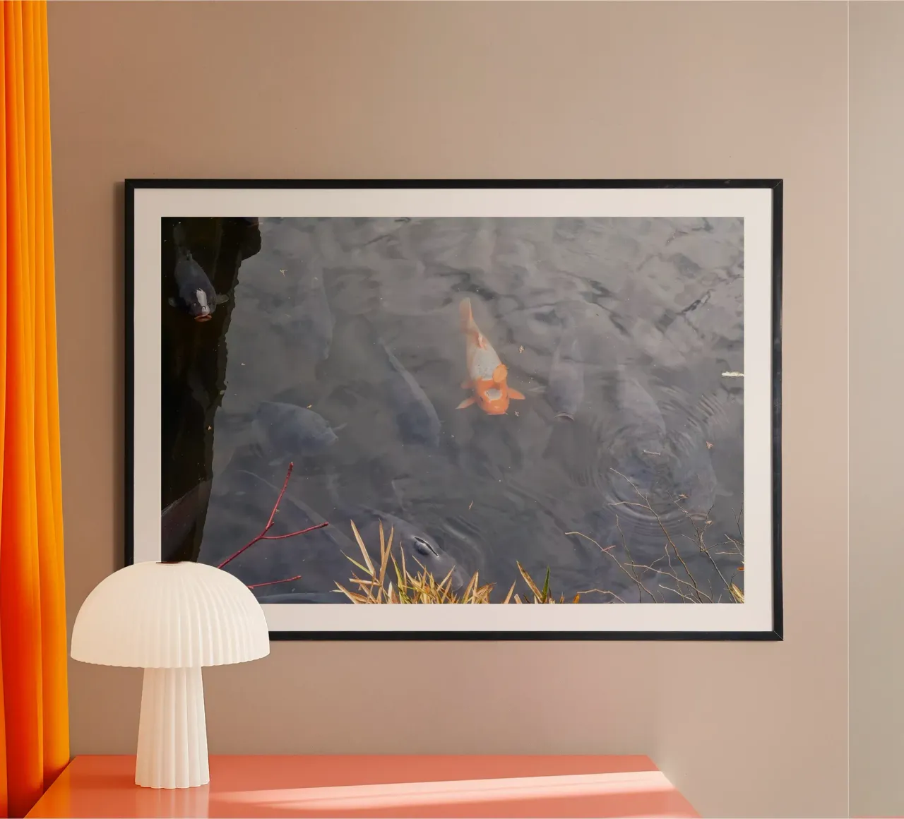 Carpa Koi poster da dava