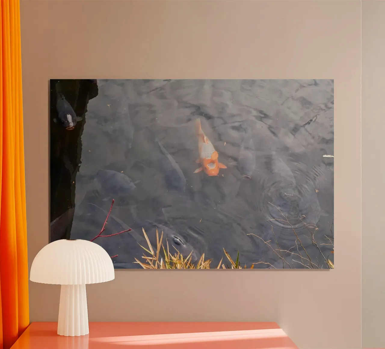 Carpa Koi poster da dava