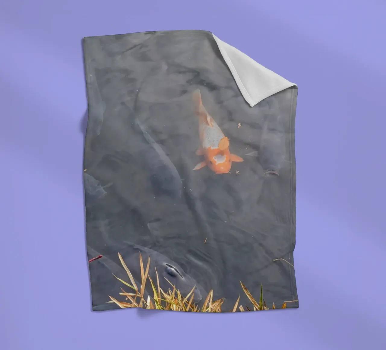 Carpa Koi coperta in pile da dava