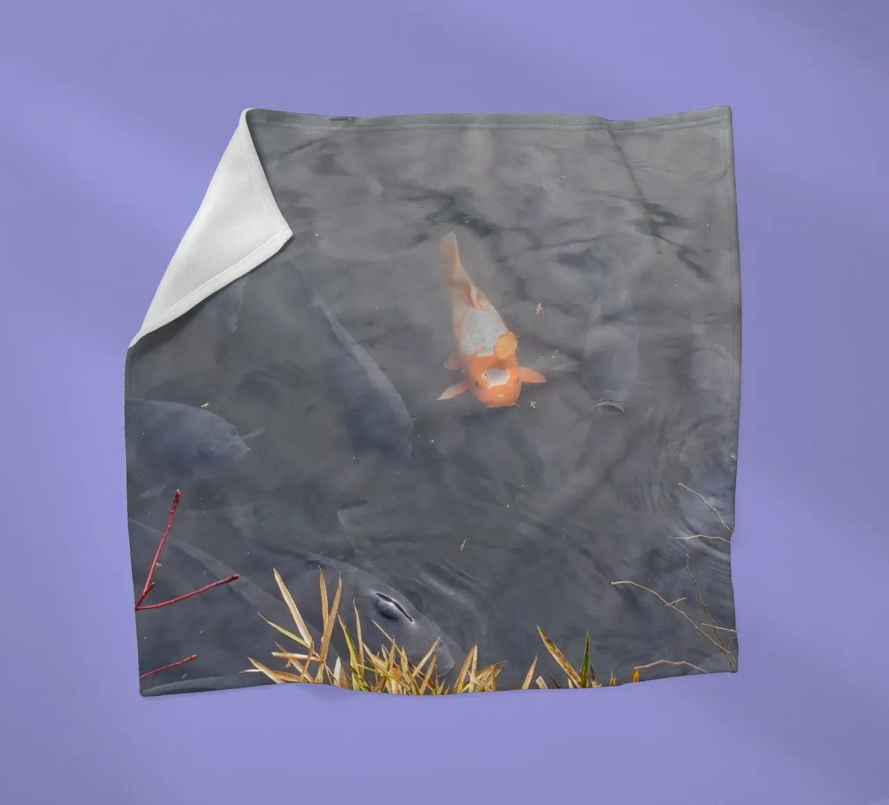 Carpa Koi coperta in pile da dava
