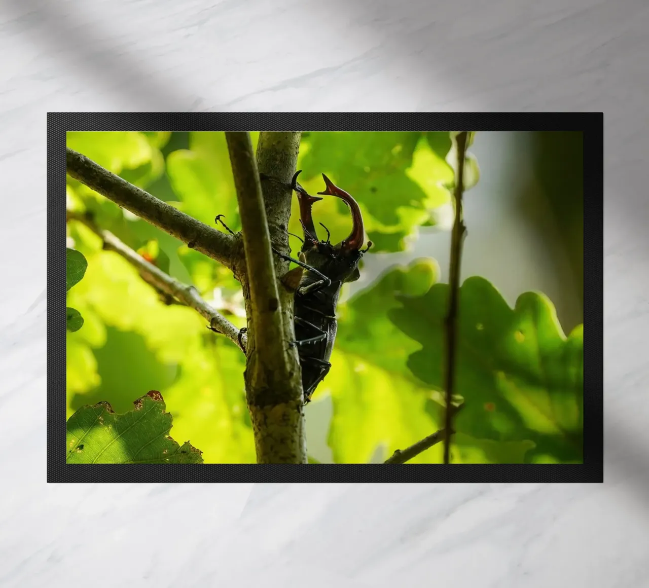 Hirschkäfer Fußmatte von Tom's Wildlife