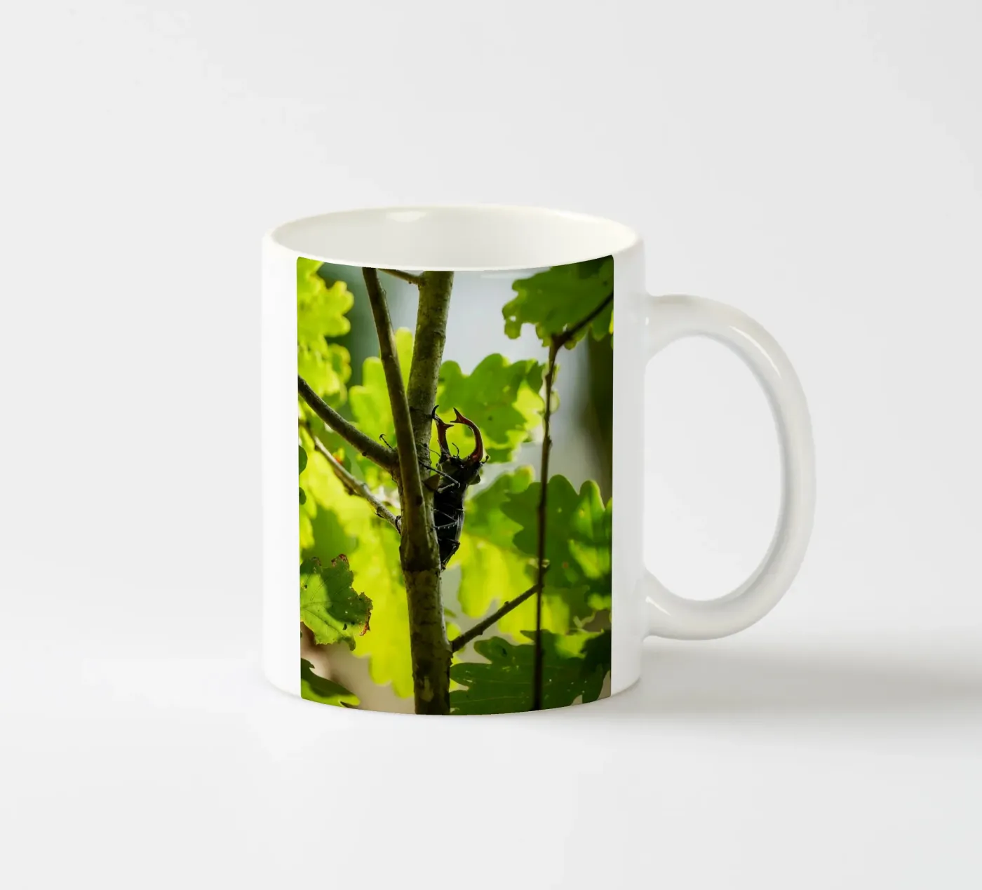 Stag Beetle ceramic mug by Tom's Wildlife