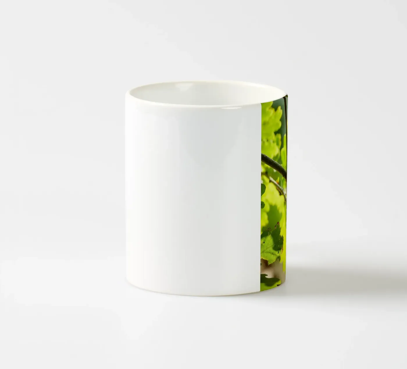 Stag Beetle ceramic mug by Tom's Wildlife